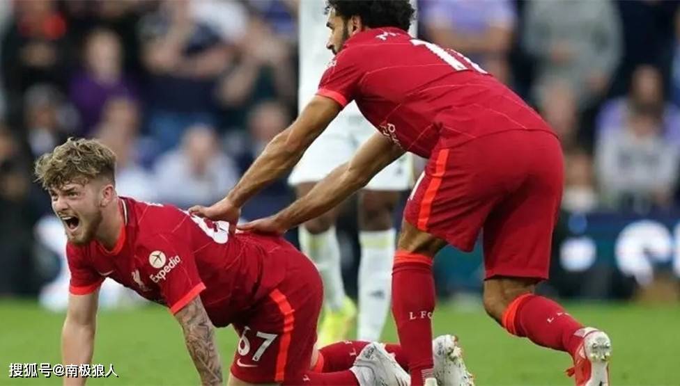 南极球队遭遇艰难但最终搏得胜利