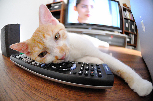 加维关键先生闪耀，曼联横扫那不勒斯奏凯歌