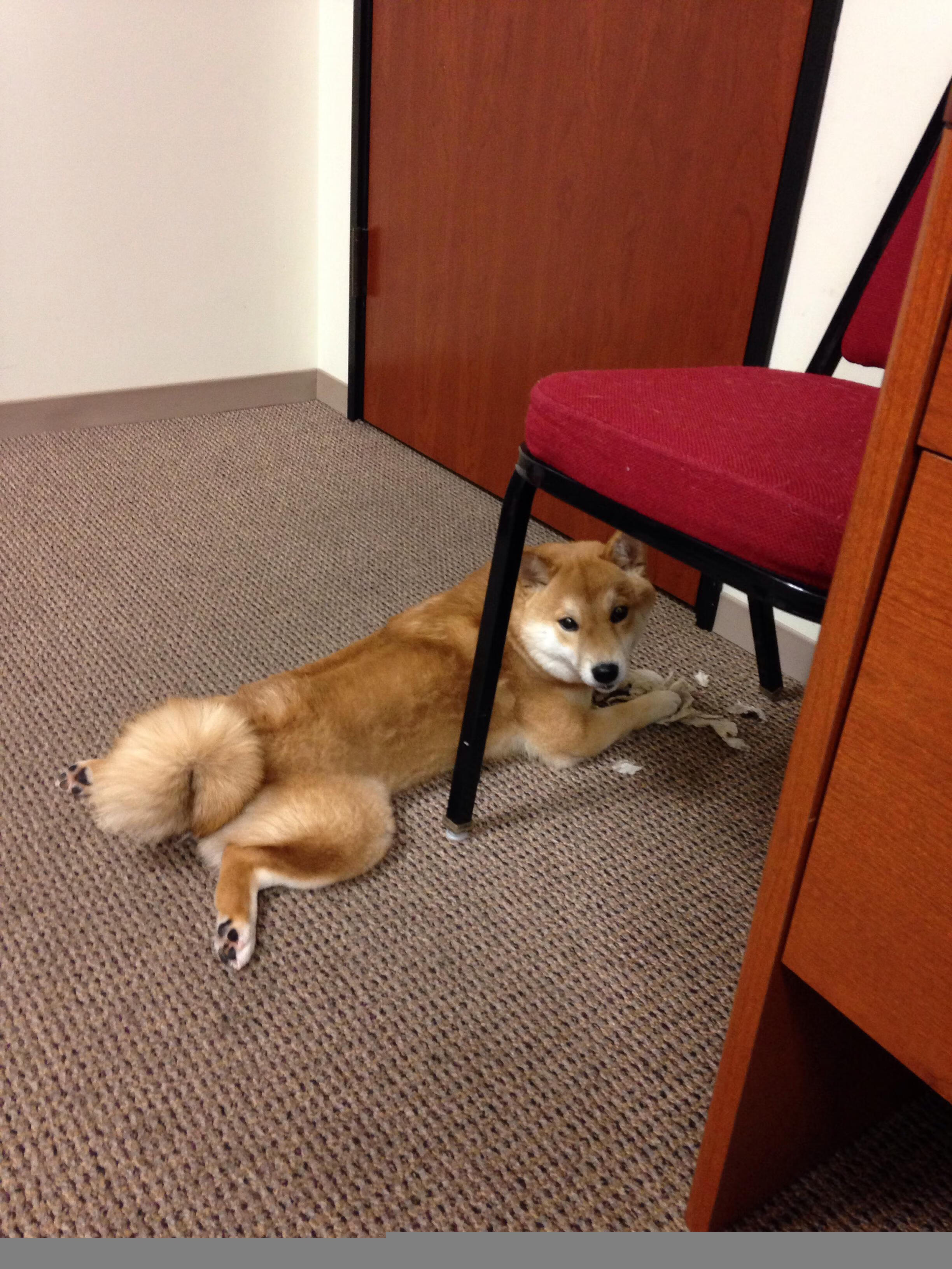 进球铸剑，阿克在2026世界杯之夜如何以关键节点征服世界