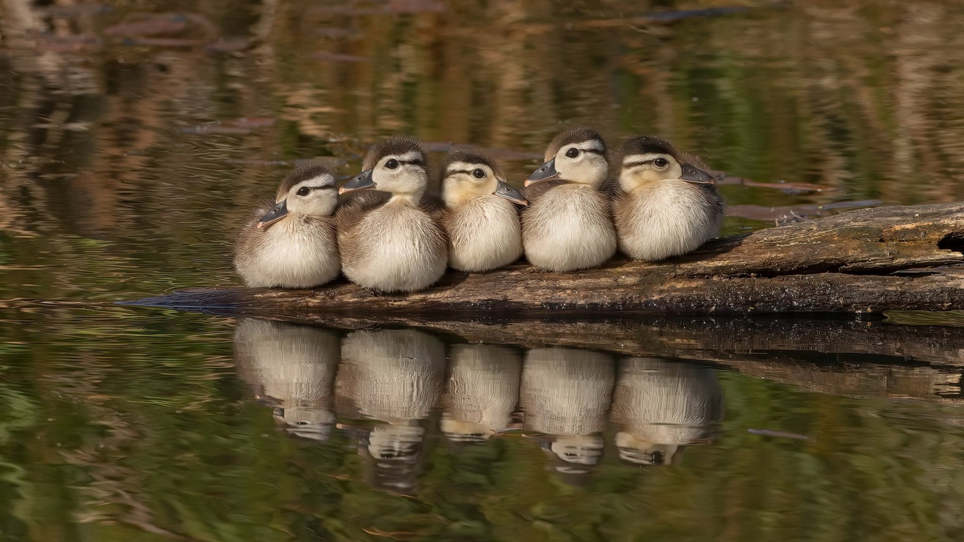 开云体育官网-当伯纳乌的夜遇见多哈的黄昏，胜利的两种形态与同一本质