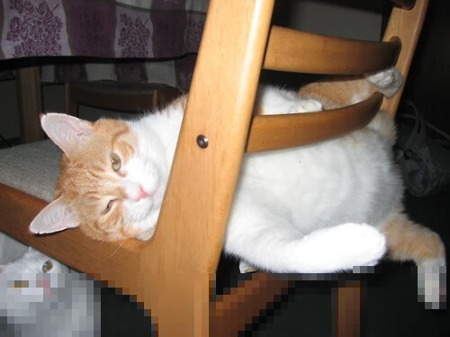 双星耀夜，皇家社会绝境突围，蒂亚戈抢七封神