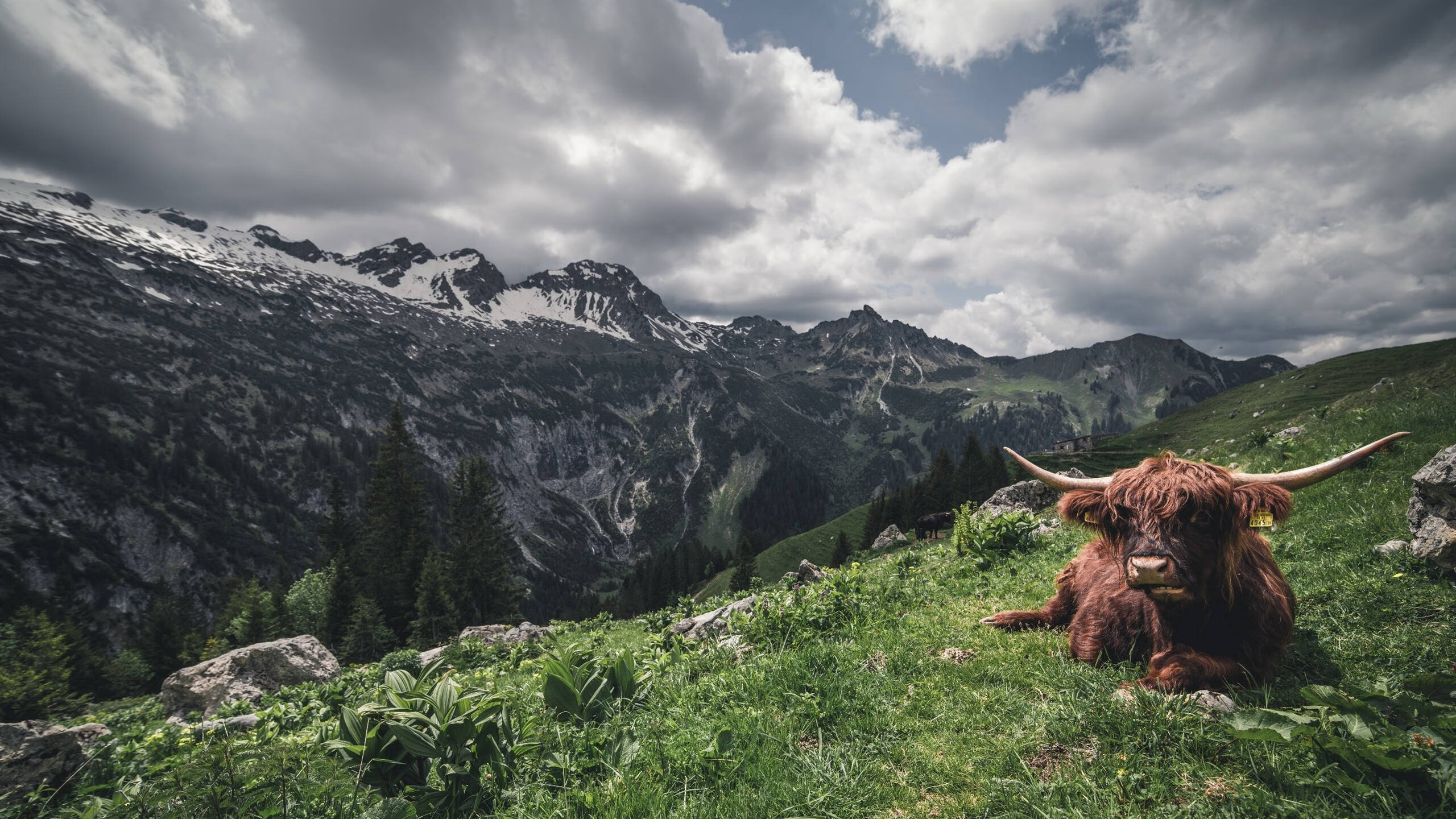 文班亚马19+13+5击碎质疑！开拓者生死战掀翻76人，新王当立？