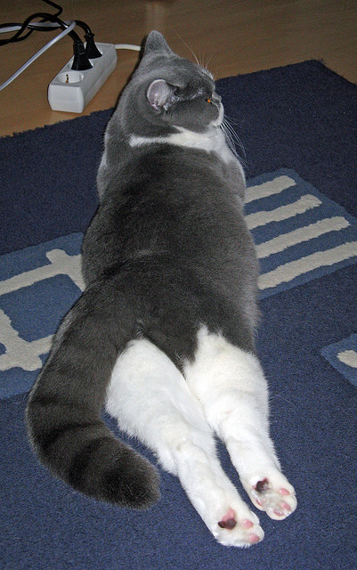 跨界体育盛宴，活塞绝杀太阳与马克西F1街道赛的统治演绎