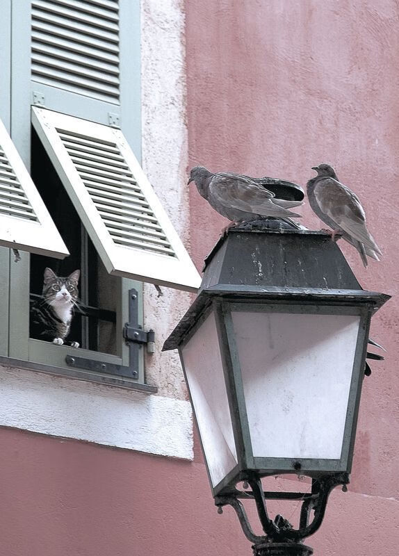 足球双星闪耀，乌拉圭碾压芬兰展团队威力，李刚仁意甲称雄显个人锋芒