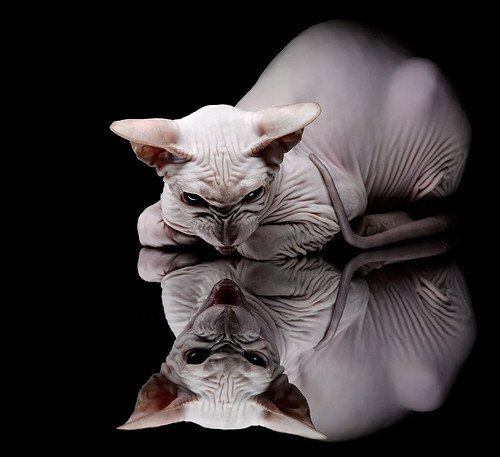 克罗地亚力量制霸尤文，德布劳内稳定输出不掉线—足球世界的双星闪耀