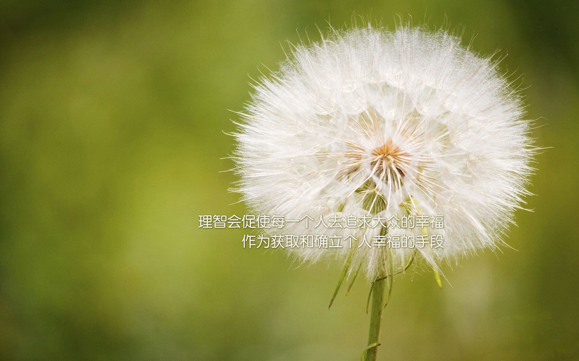 勇士战术压制独行侠，詹姆斯成为关键先生